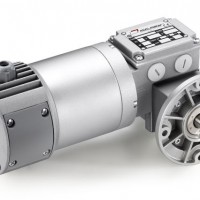 Mini Motor 蝸輪蝸桿減速電機，帶行星減速器：單相或三相