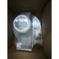 ELEKTROR工業徑向鼓風機側通道低壓風機