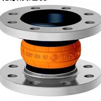 Elaflex ROTEX DN 80.16橡膠膨脹節 ELAFLEX ROTEX DN 80.16橡膠膨脹節1