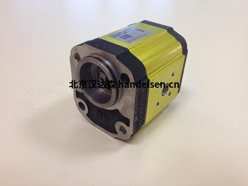 VIVOIL-VIVOLO 帶齒輪液壓泵 VIVOIL-VIVOLO 帶齒輪液壓泵G2P4121FSRA