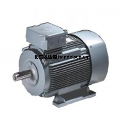 VEM電機    VEM電機