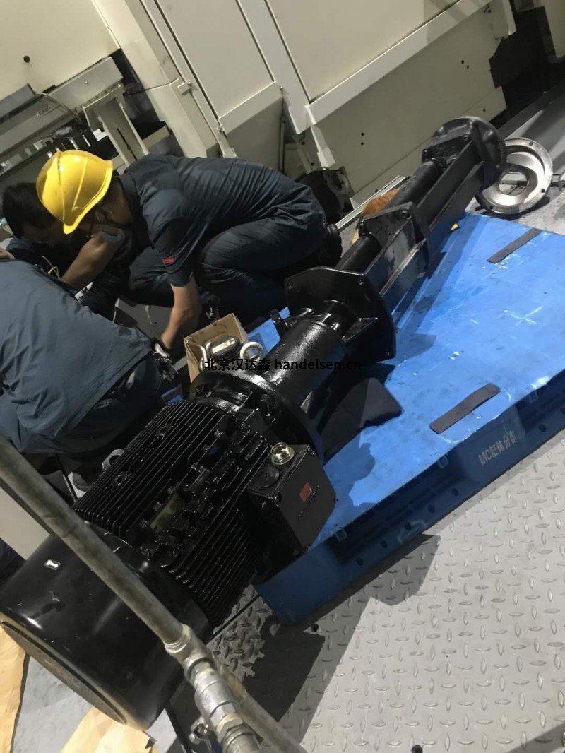 德國BRINKMANN泵SGL333/560-MVX+302印刷行業使用 德國BRINKMANN泵SGL333/560-MVX+302印刷行業使用