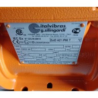 Italvibras G. Silingardi mvss不銹鋼不平衡電機工業使用