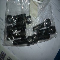 Fastpoint 緊固件產品分類介紹 原裝進口