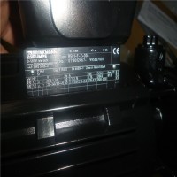 德國布曼BRINKMANN進口工業用泵冷卻液泵芯片處理