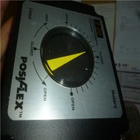 專業銷售氣動執行器P系列-EL-O-MATIC