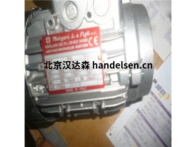 意大利 Melegari IEC 感應電機 潛水電機優勢供應