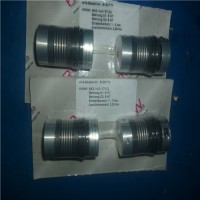 專業銷售聯軸器BK5-R+W