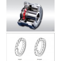 進口原廠德國RINGSPANN彈性齒輪聯軸器