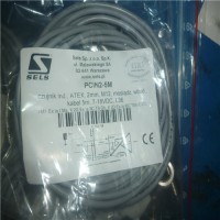 專業銷售傳感器RZ65RM8-SELS