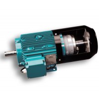 Brook Crompton電機系列產品