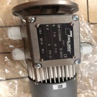 Mini Motor單向電機，異步電機系列展示