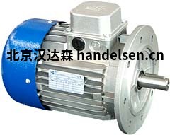 MTmotori三相電機產品介紹 MTmotori三相電機產品介紹