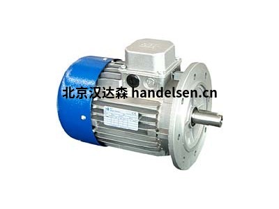 MTmotori三相電機產品介紹