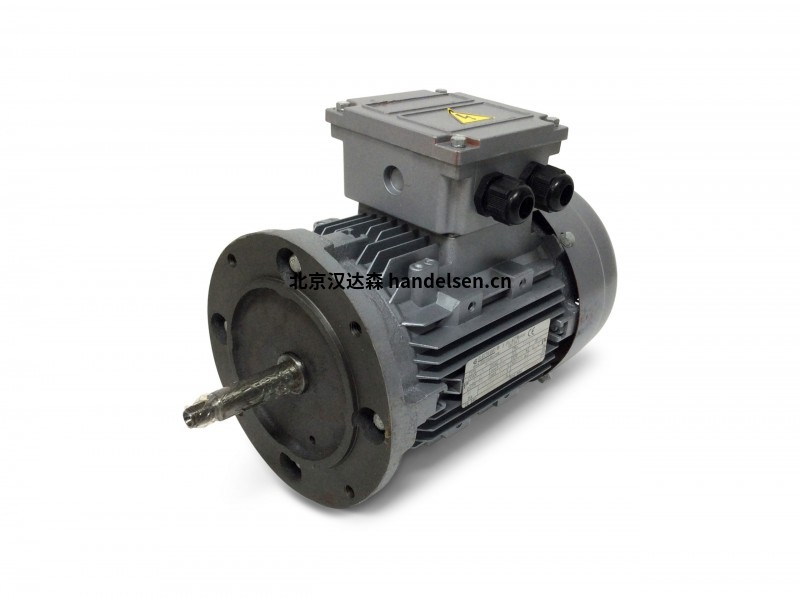 Electramo IE3高效率三相鑄鐵電機 Electramo IE3高效率三相鑄鐵電機
