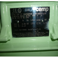 CEMP ICE危險區域電機