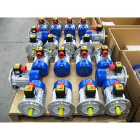 意大利MT MOTORI三相電機TN80B/4用于冶金行業