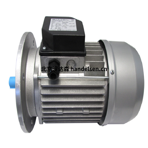 Simel Simel SpA  為各種應用設計和制造交流感應電機