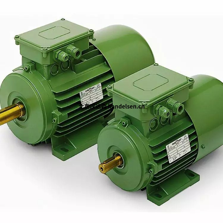 OEMER電機QCA 100 M/4用于食品和制藥業 OEMER電機QCA 100 M/4用于食品和制藥業