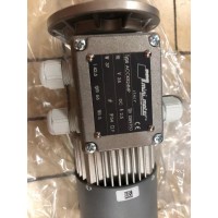 意大利Mini Motor蝸輪電機PACE-12MP4N用于飲料行業