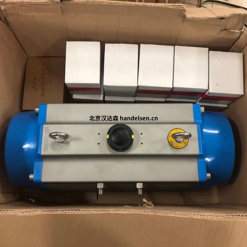 Bar智能部分回轉執行器CAD/CAS AD - 004用于化學工業 Bar智能部分回轉執行器CAD/CAS AD - 004用于化學工業