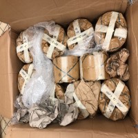 產品照片