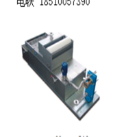 Maag 燭式濾芯換網器介紹