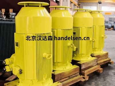 MENZEL防水電機IP67 功率高達2000kW和6600V