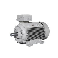 Lammers防爆電機 型號1TZ9002-0BA6效率等級：IE2、IE3