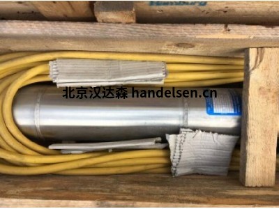 Pleuger臥式柱塞泵應用于化工和石化行業 QN122-2a+MI10-740-2