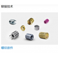 Bossard 提供多種不同類型的螺母，墊圈，螺釘，鉚釘等緊固件
