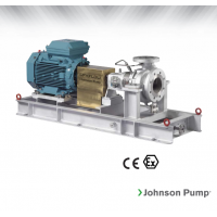 Johnson Pump 重型流程泵，適合化工/石化工業、煉油廠和一般工業應用