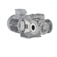 Johnson Pump 內嚙合齒輪泵，適用于中等粘度、清潔和非磨蝕性液體