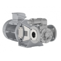 Johnson Pump 內嚙合齒輪泵，適用于中等粘度、清潔和非磨蝕性液體