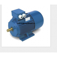 意大利 OEMER 異步電機 MTES3 系列：高效驅動，賦能工業新動能